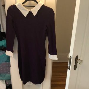 Ralph Lauren purple collared dress